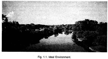 NCERT Solutions for Class 7 Social Science : Environment