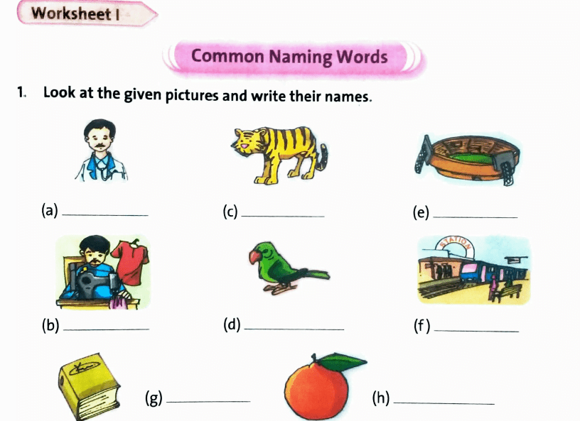 Naming Words Question Answers | DAV Class 3 English Practice Book Chapter 1 Solutions