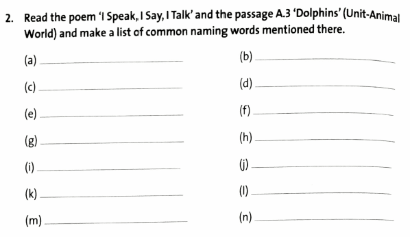 Naming Words Question Answers | DAV Class 3 English Practice Book Chapter 1 Solutions