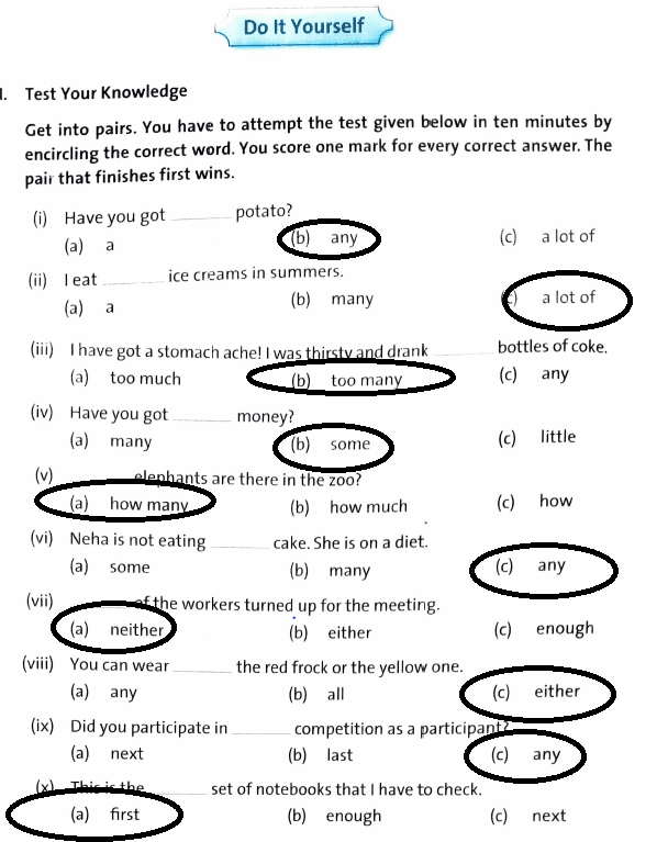 Determiner Question Answers | DAV Class 5 English Practice Book Chapter