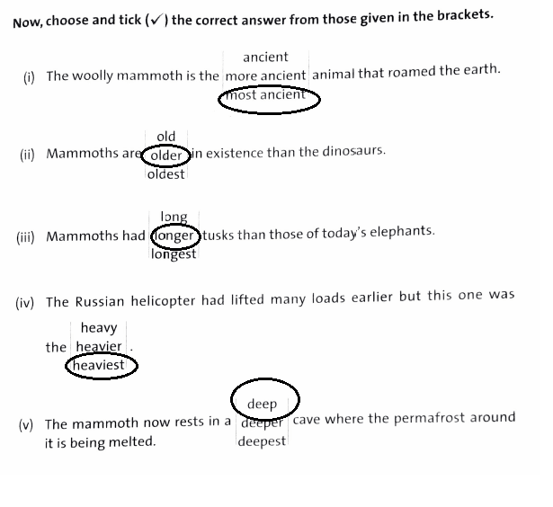 Comparisons Question Answers | DAV Class 5 English Practice Book Chapter 4 Solutions