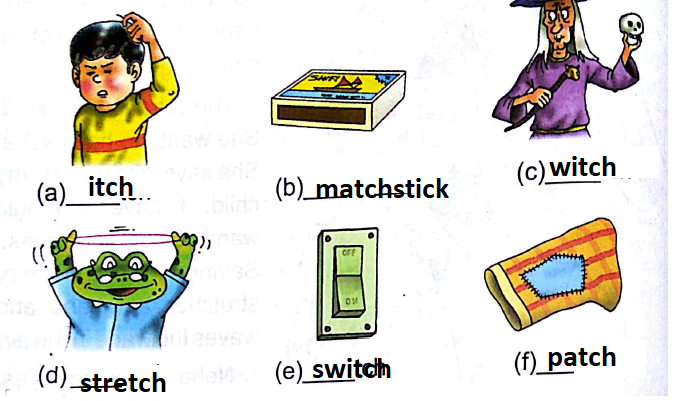 The magic matchbox class- 2 DAV My English Reader Solutions.