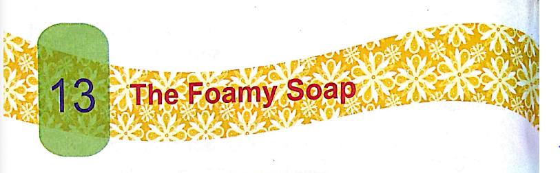 The Foamy Soap Class- 2 DAV My English Reader Solutions.