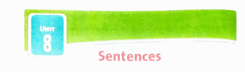 Sentences Question Answers | DAV Class 5 English Practice Book Chapter 8 Solutions