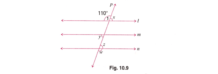 Chapter 10 | Parallel Lines | Class-8 DAV Secondary Mathematics