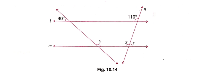 Chapter 10 | Parallel Lines | Class-8 DAV Secondary Mathematics