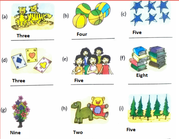 How Many? Numbers Question Answers | DAV Class 3 English Practice Book Chapter 3 Solutions