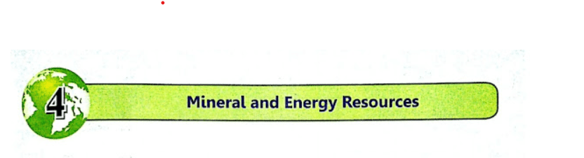 DAV CLASS 8 Mineral and Energy Resources Social Science Solutions