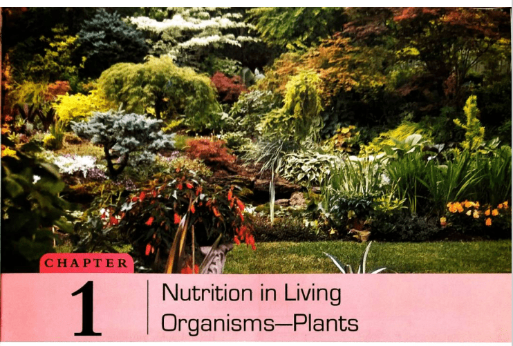 Nutrition in Living Organisms