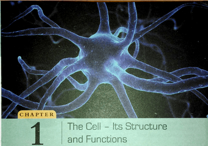  DAV Chapter 1 The Cell  solutions
