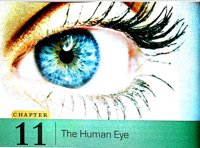 Chapter  11  The Human Eye