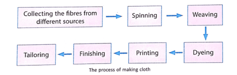 Chapter 14 | Fabric from Fibre | Class- 6 DAV Science Solutions