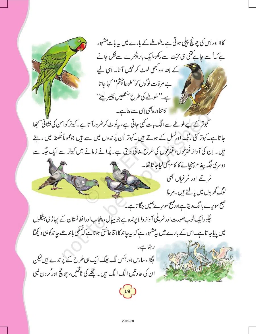 Class 4 Urdu Ibtedai Urdu Chapter 3