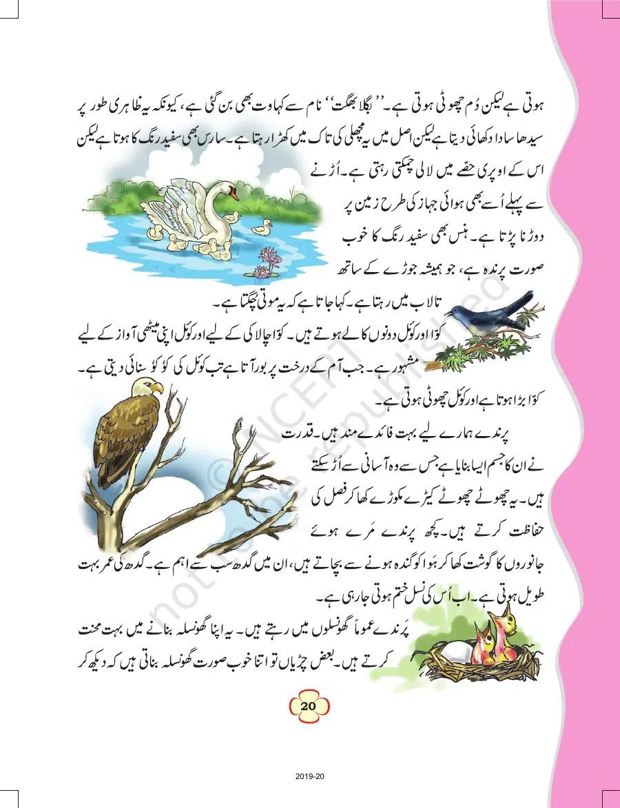 Class 4 Urdu Ibtedai Urdu Chapter 3