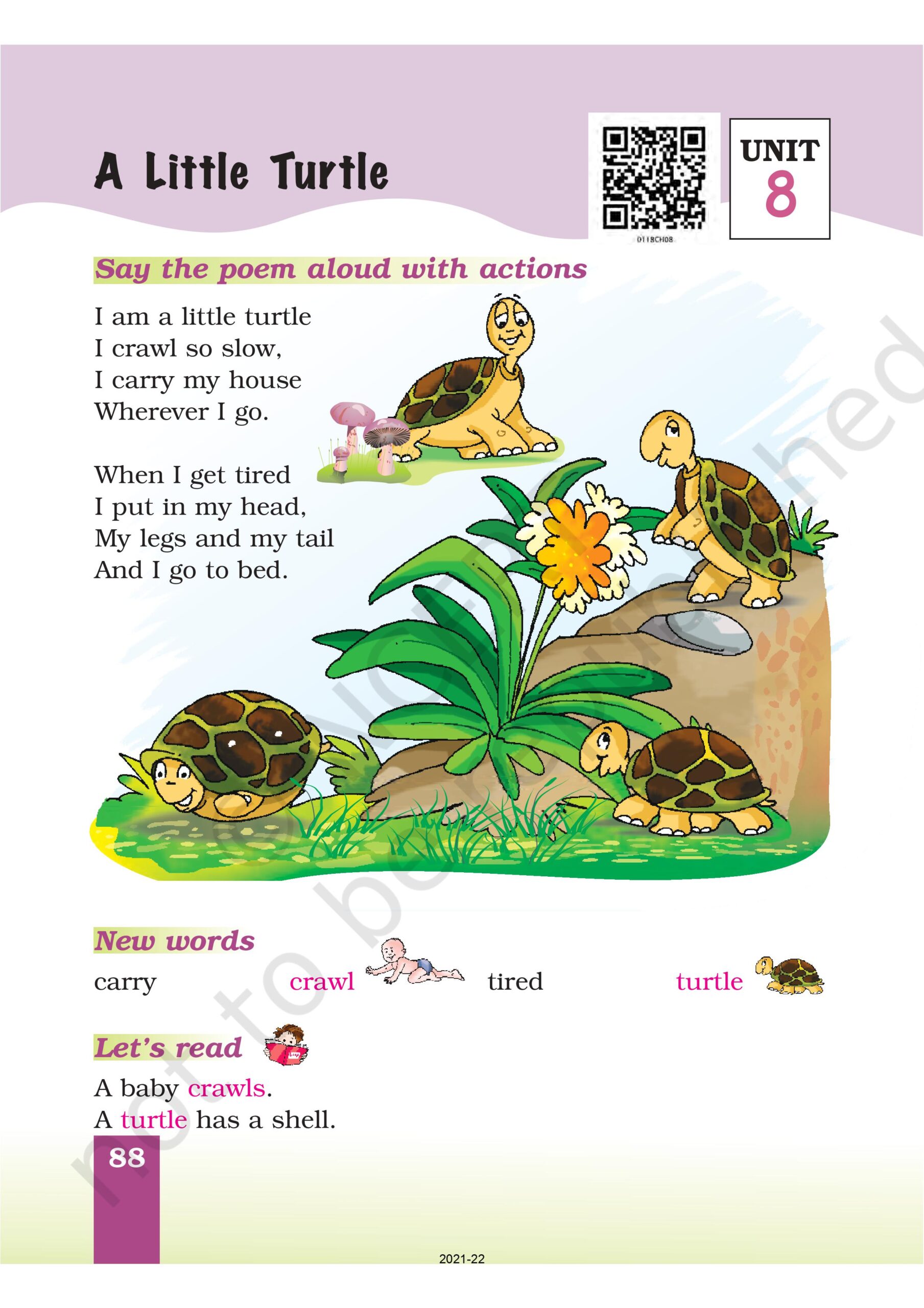 Class 1 English Marigold Chapter 8 A Little Turtle