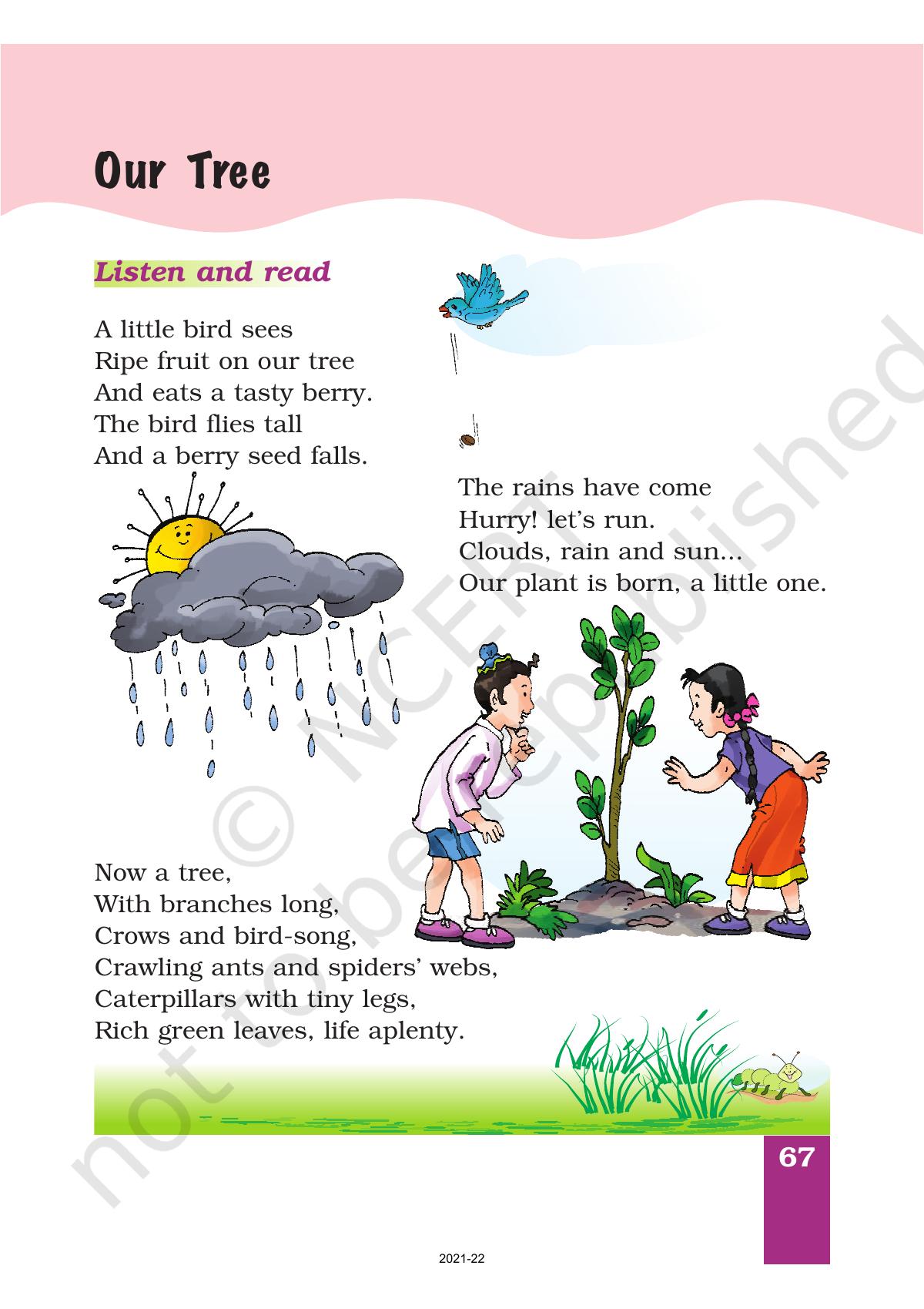 Class 1 English Marigold Chapter 6 B Our Tree
