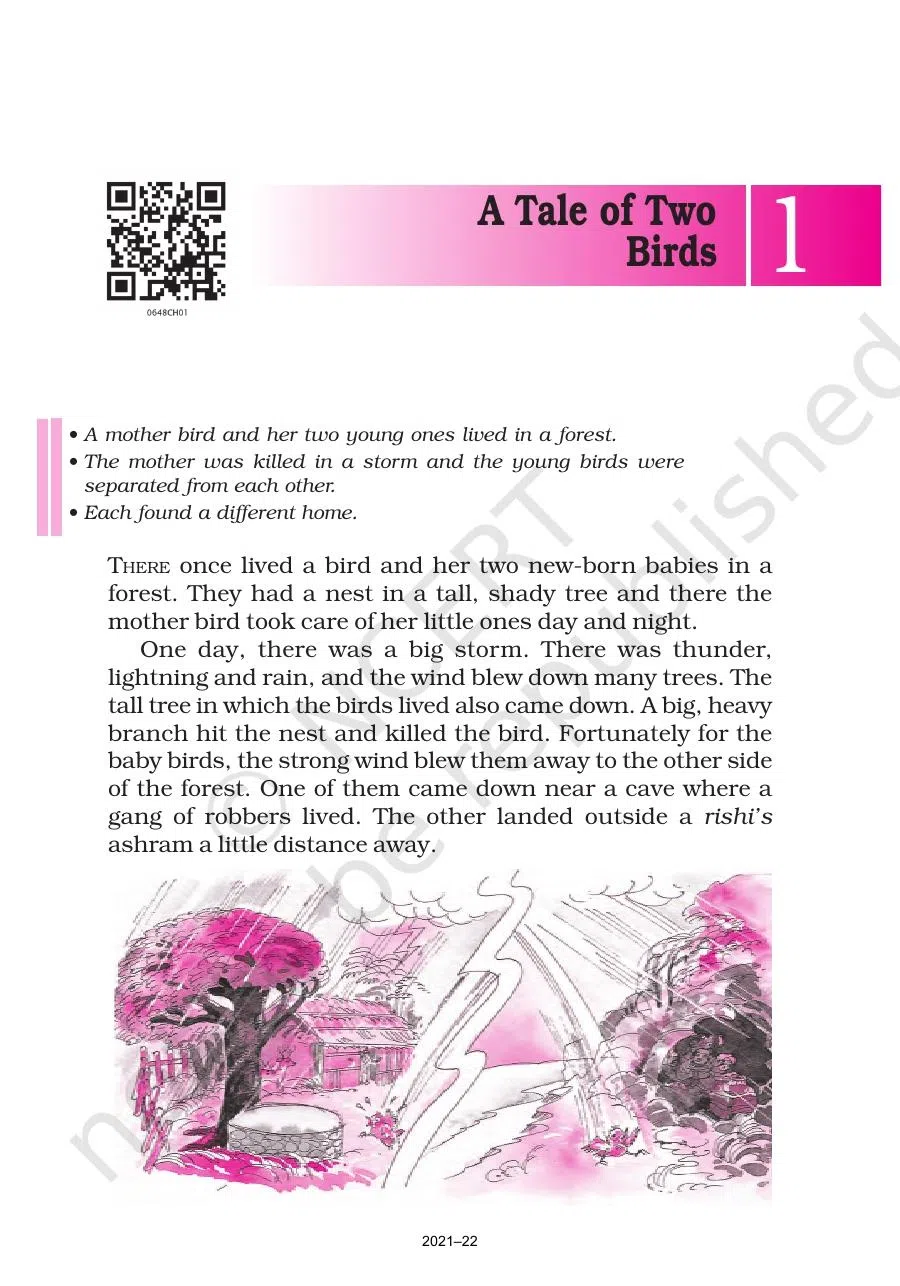 Class 6 English A Pact With The Sun Chapter 1 A Tale of Two Birds