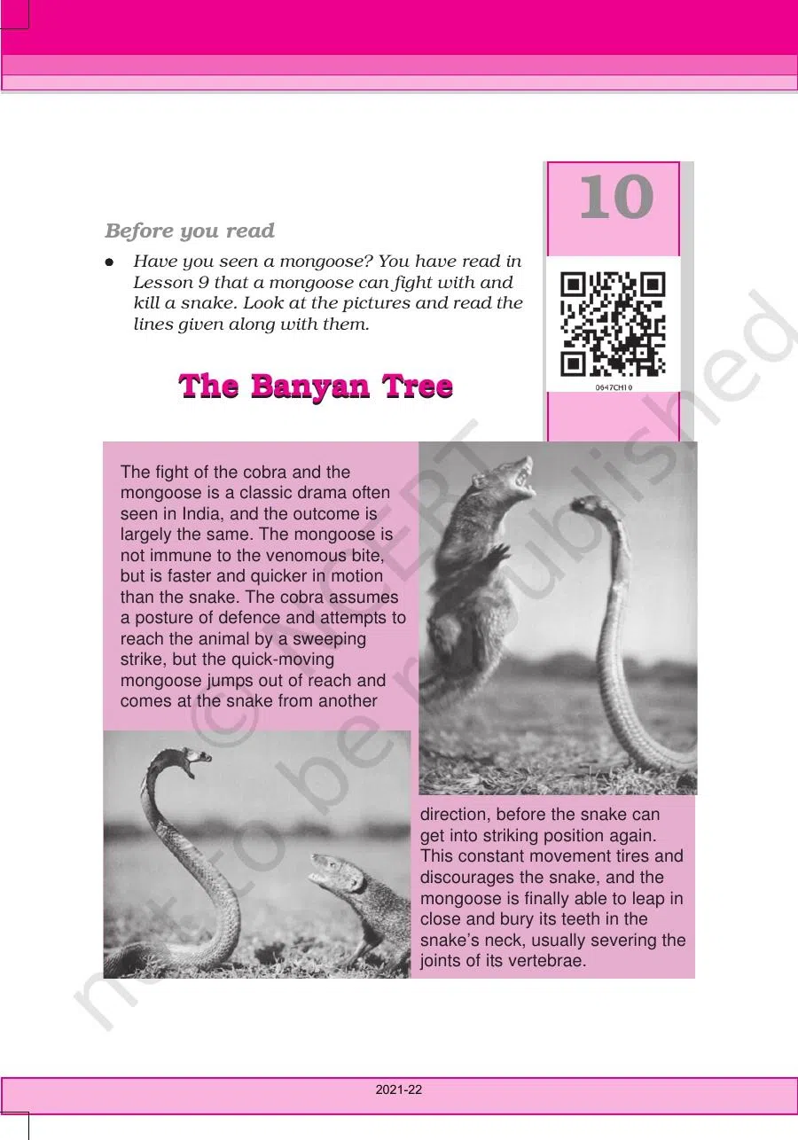 Class 6 English Honeysuckle Chapter 10 The Banyan Tree