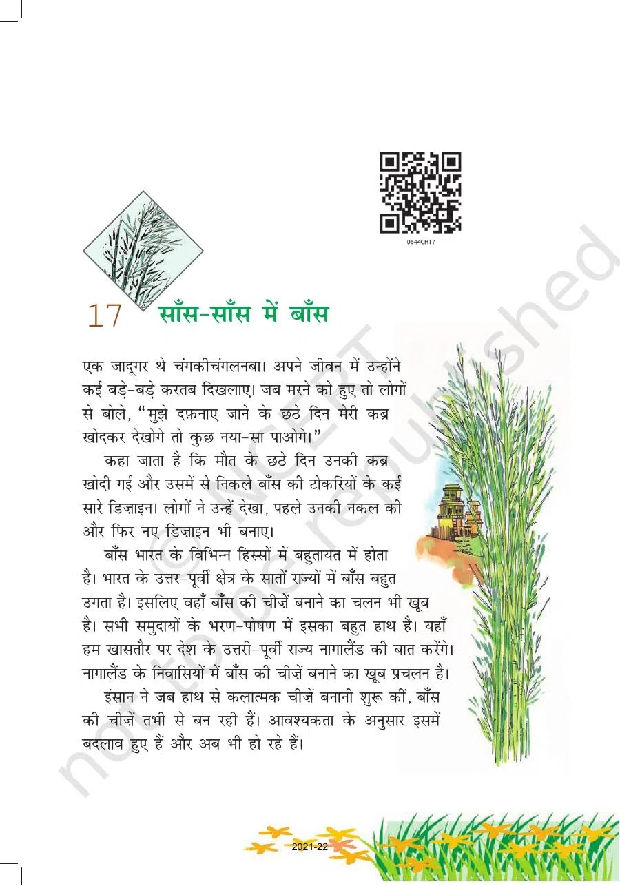 Class 6 Hindi Vasant Chapter 17