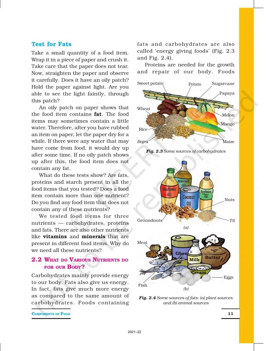 Class 6 Science Chapter 2