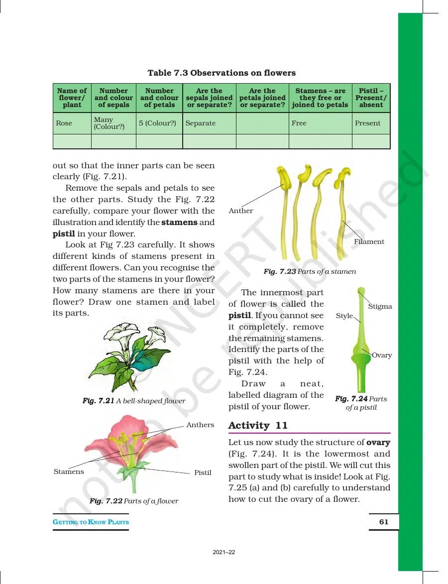 Class 6 Science Chapter 7