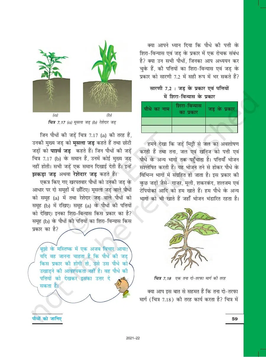 Class 6 Vigyan Chapter 7