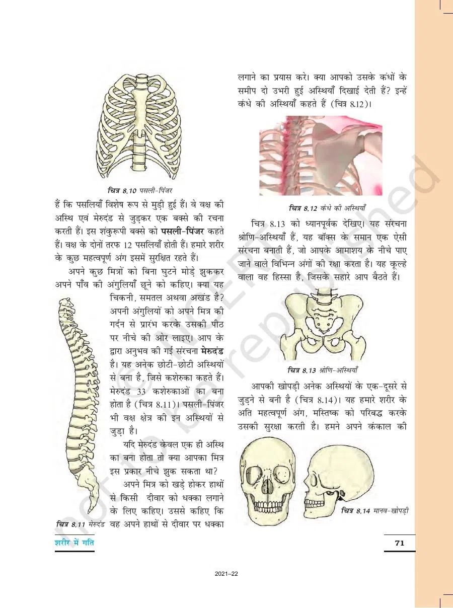 Class 6 Vigyan Chapter 8