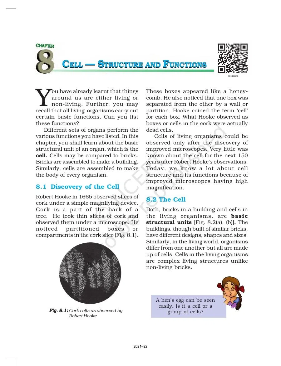 Class 8 Science Chapter 8