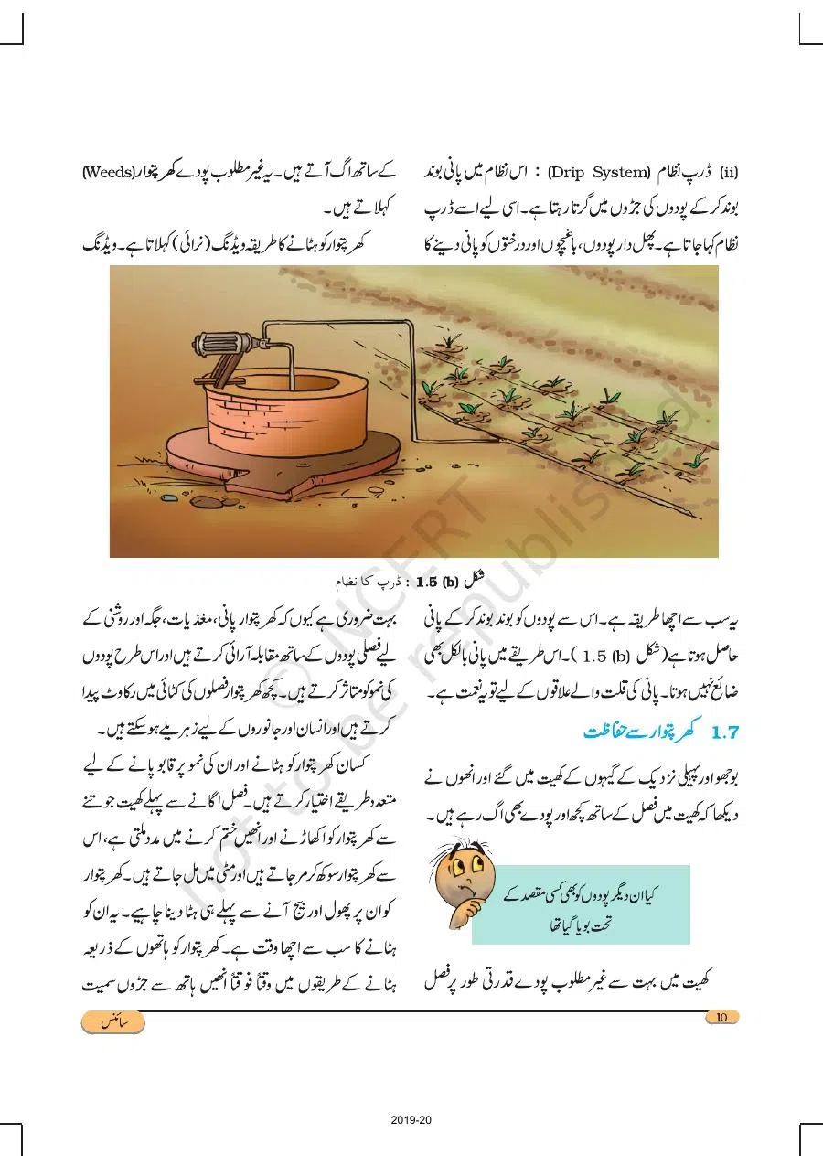 Class 8 Science in Urdu Medium Chapter 1