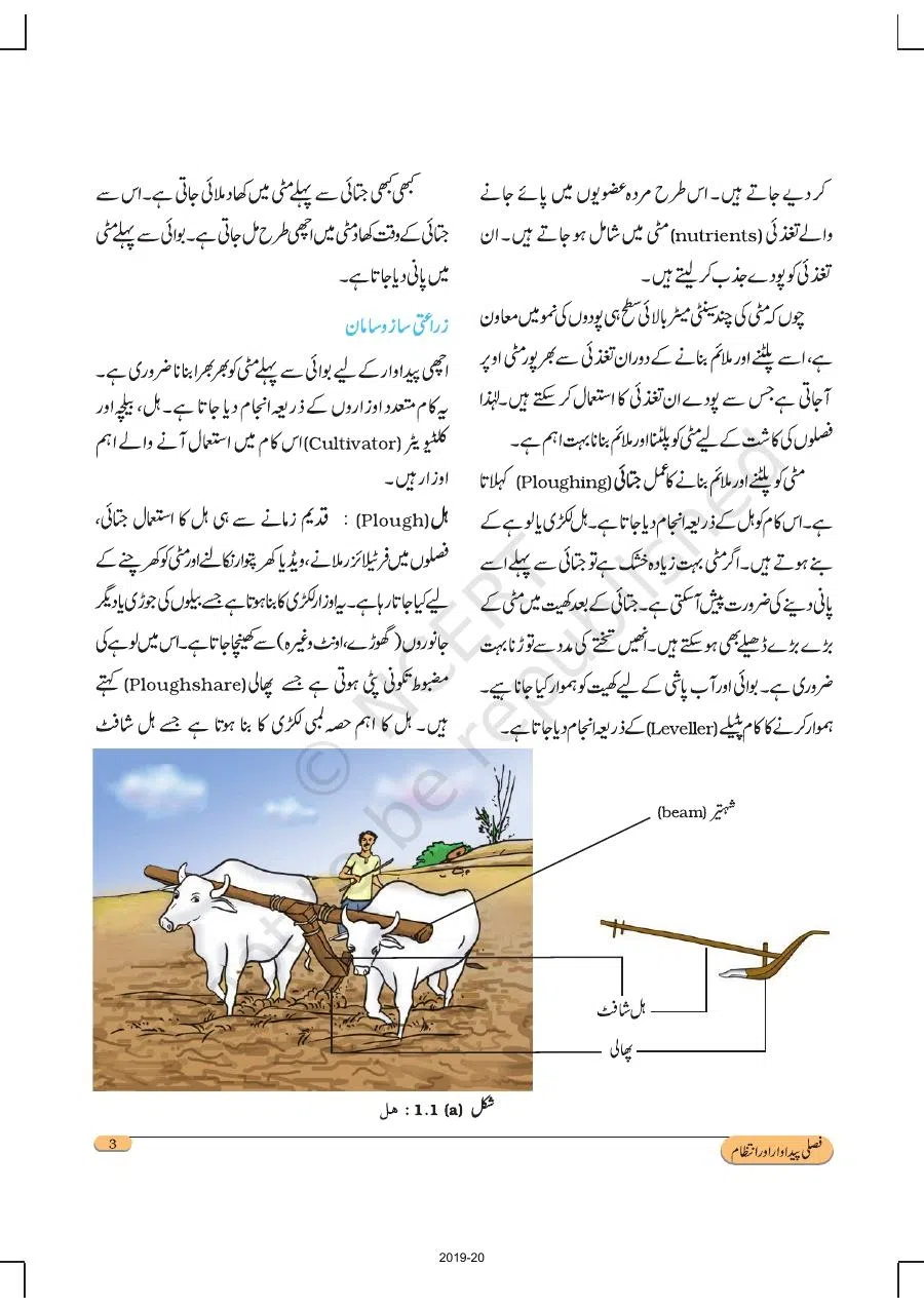 Class 8 Science in Urdu Medium Chapter 1