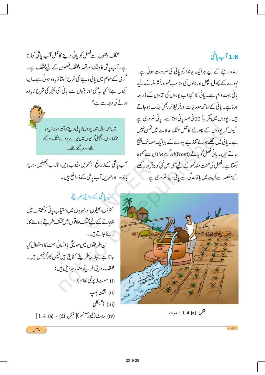 Class 8 Science in Urdu Medium Chapter 1