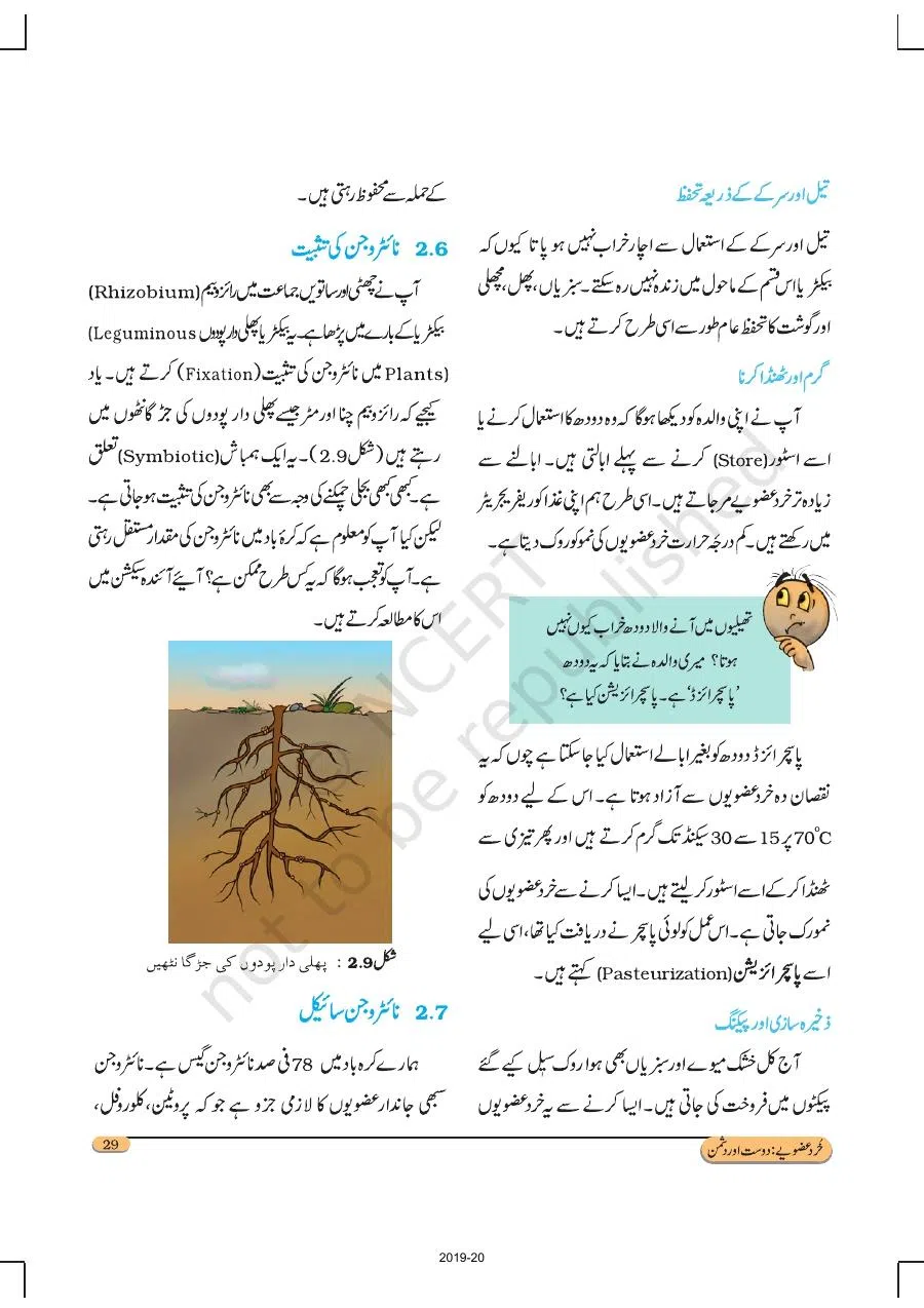 Class 8 Science in Urdu Medium Chapter 2