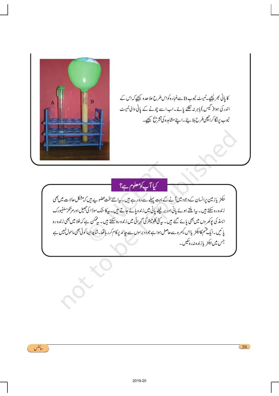 Class 8 Science in Urdu Medium Chapter 2