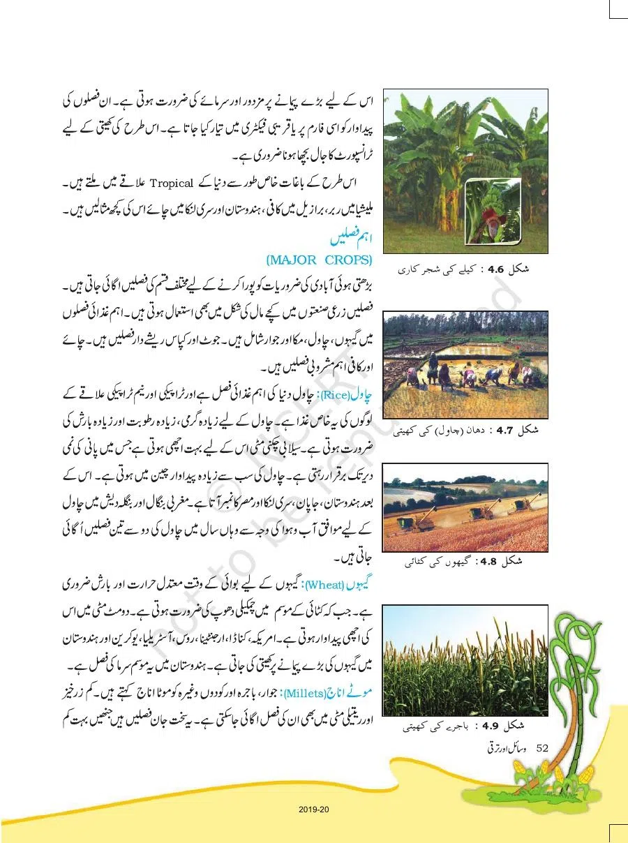 Class 8 Geography in Urdu Medium Chapter 4