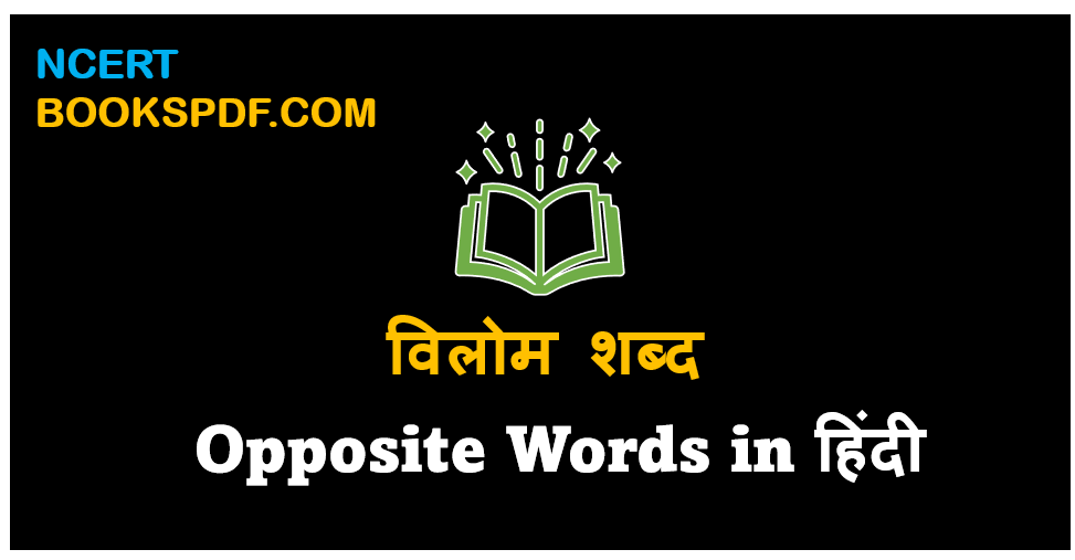 Opposite word in hindi