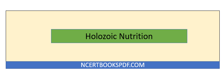 Holozoic Nutrition: Definition, Types and Steps