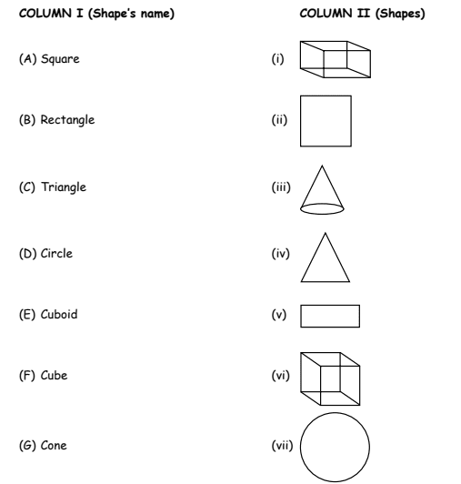 Class 3 Shapes Worksheet -1
