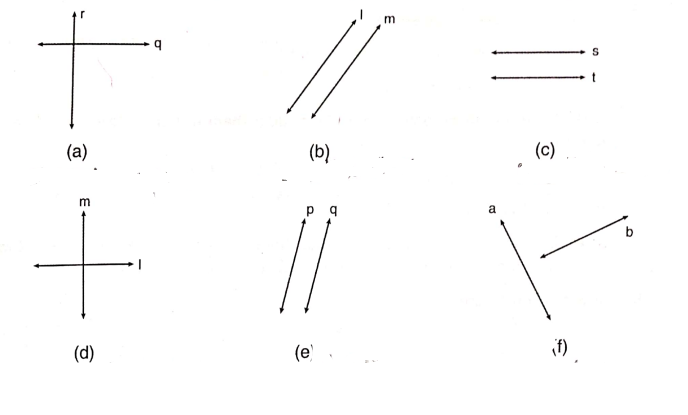 Chapter 8 | Basic Geometrical Concepts | Class-6 DAV Secondary Mathematics