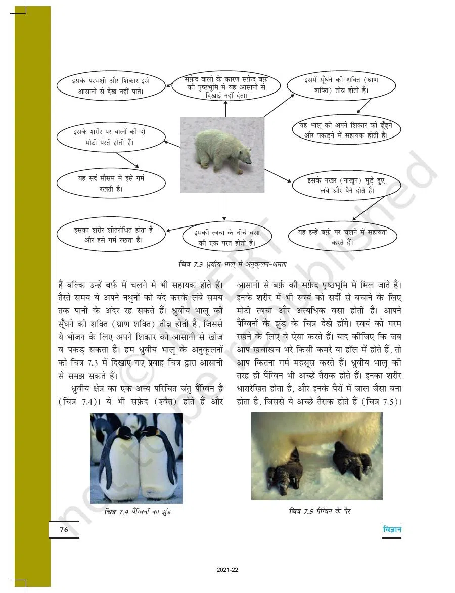 Class 7 Science in Hindi Chapter 7