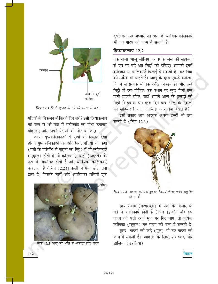 Class 7 Science Chapter 12 in Hindi