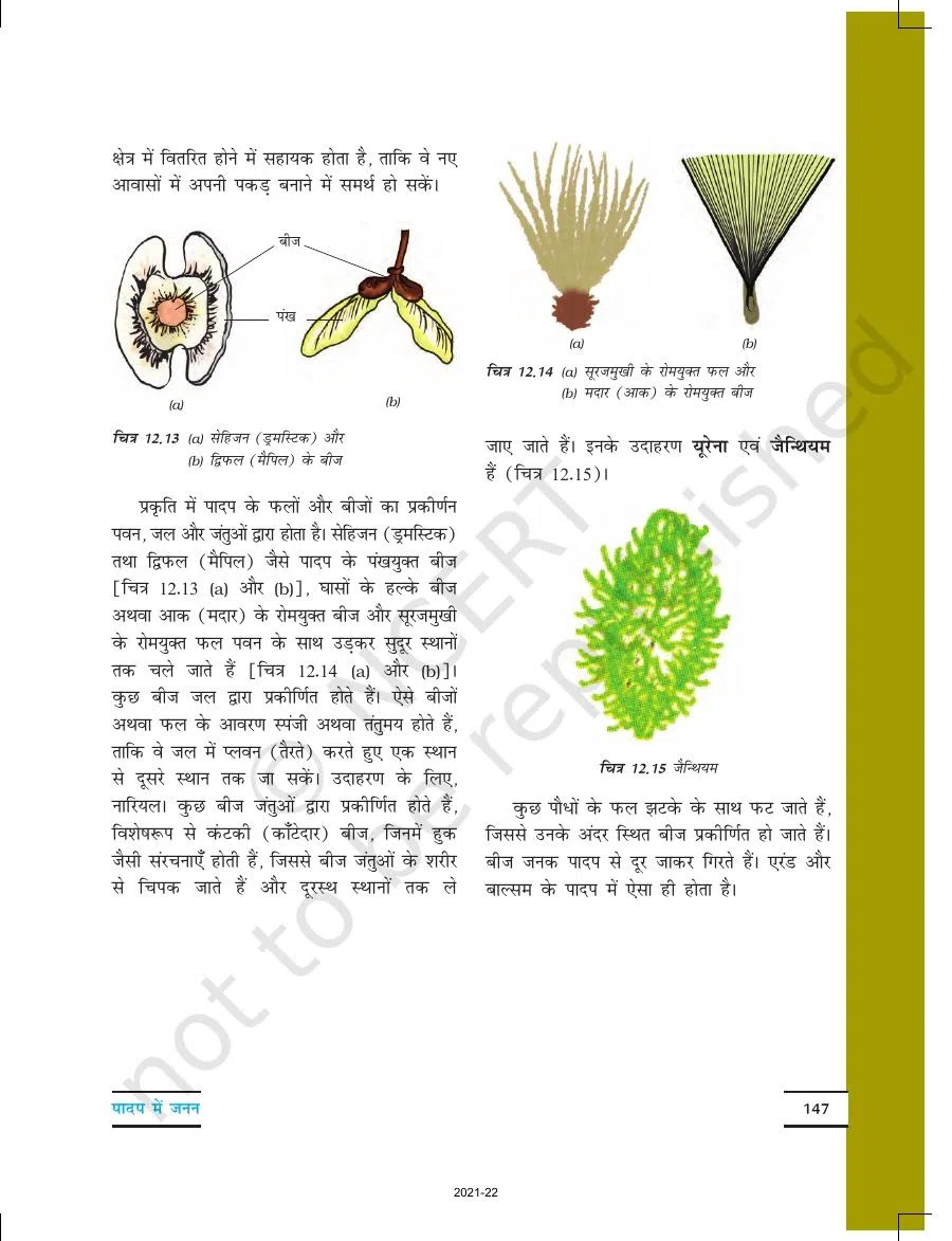 Class 7 Science Chapter 12 in Hindi