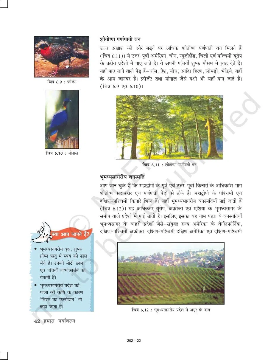 Class 7 Geography In Hindi Chapter 6