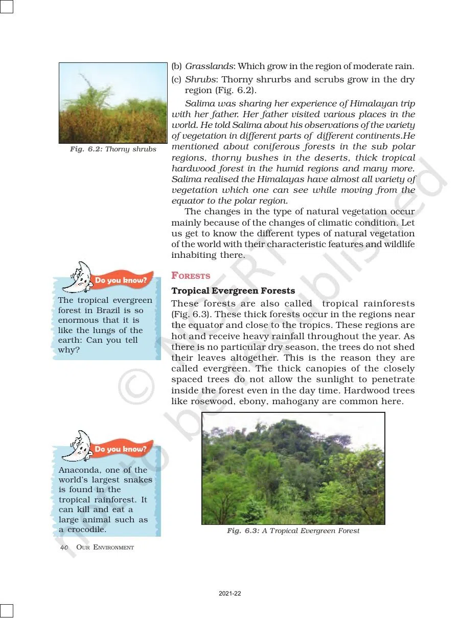 Class 7 Geography Chapter 6