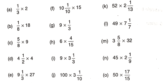 Chapter 4 | Fractional Numbers | Class-5 DAV Primary Mathematics