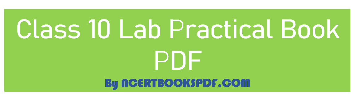 Class 10 lab Practical Book 