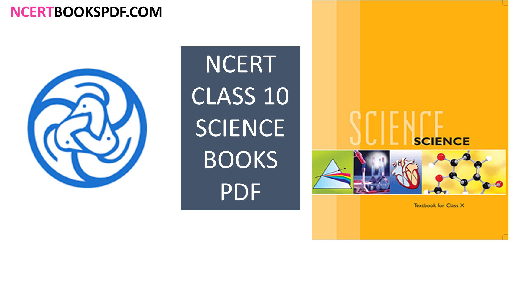 NCERT CLASS 10 Science Book PDF Download