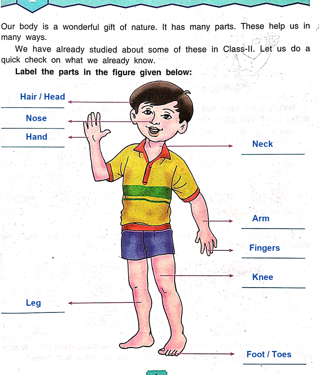Solved Parts of Human Body Diagram DAV Class 3 Science